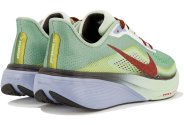 Nike Pegasus 42 Special Edition