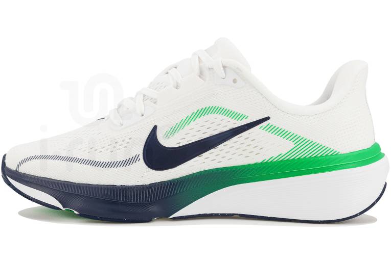 Nike Pegasus 42