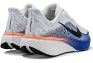 Nike Pegasus 42