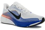 Nike Pegasus 42 