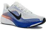 Nike Pegasus 42