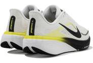 Nike Pegasus 42
