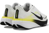 Nike Pegasus 42