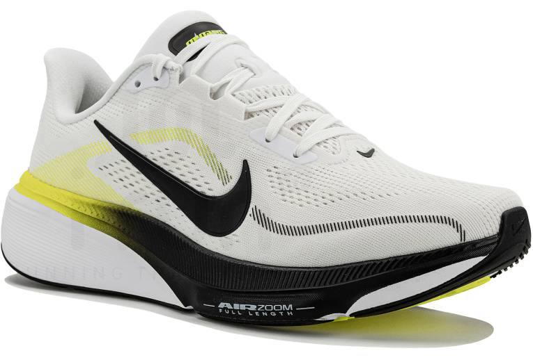 Nike Pegasus 42