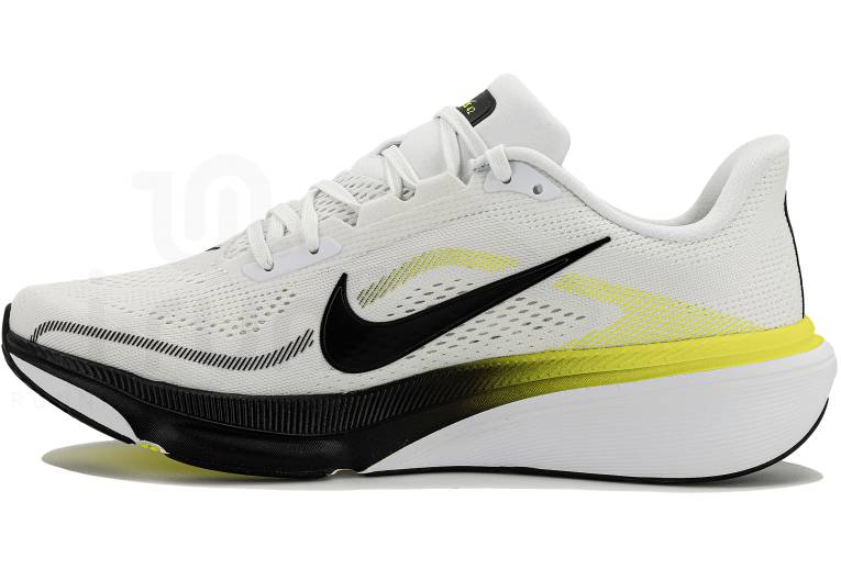 Nike Pegasus 42