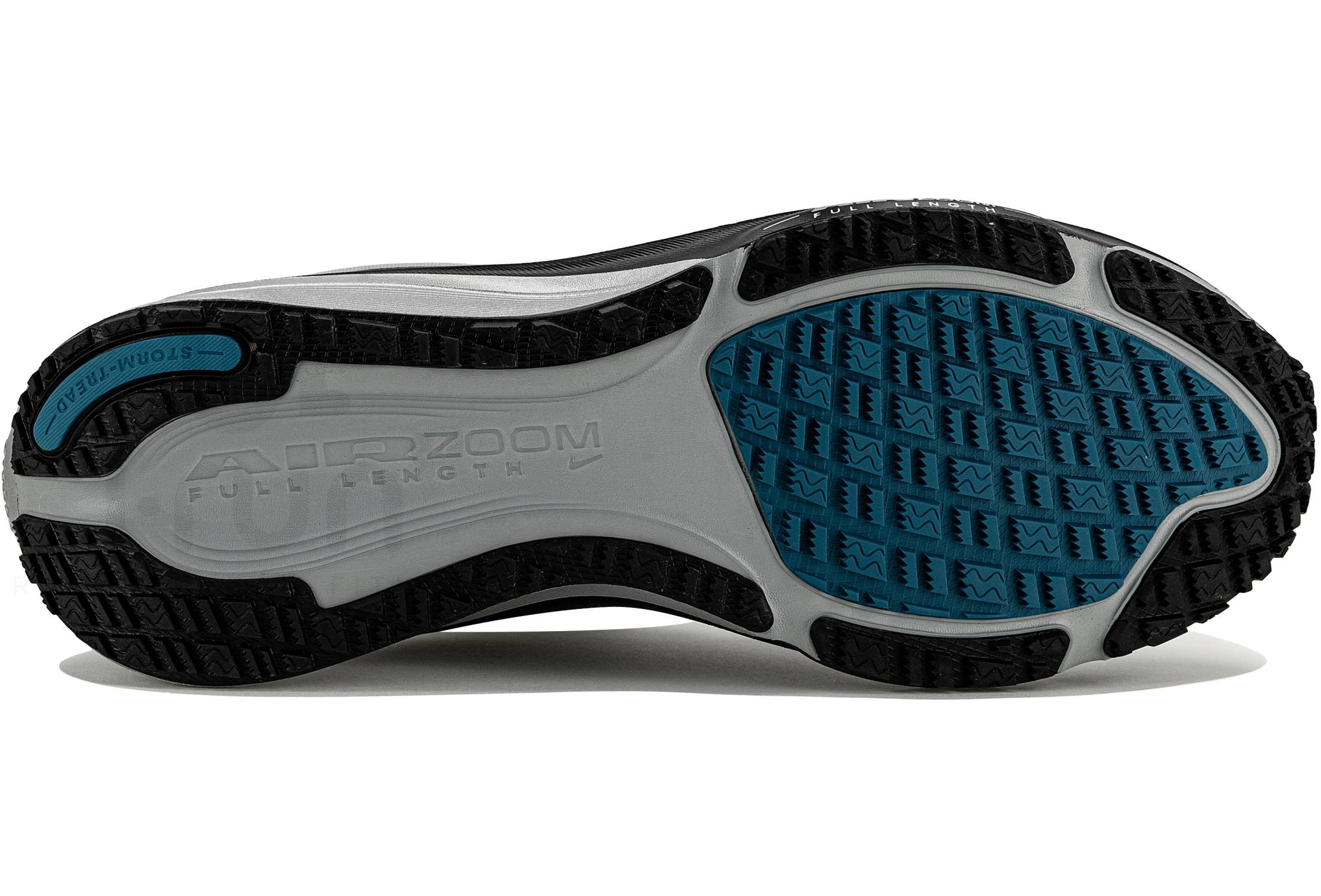 Nike Pegasus 42 Gore-Tex