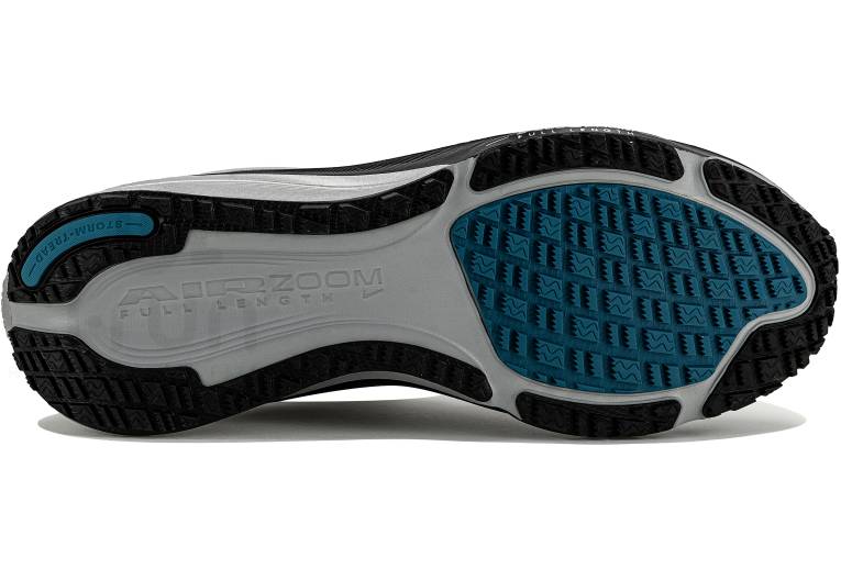 Nike Pegasus 42 Gore-Tex VIS