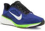 Nike Pegasus 42 Junior