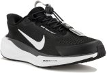 Nike Pegasus EasyOn
