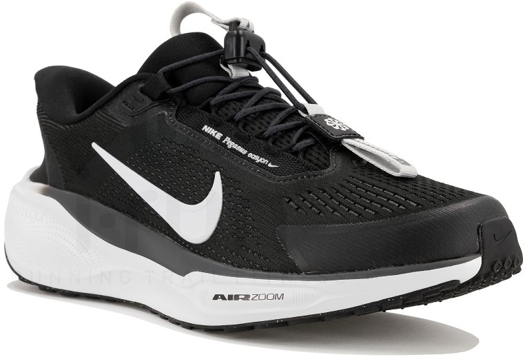 Nike Pegasus EasyOn