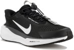 Nike Pegasus EasyOn