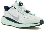 Nike Pegasus EasyOn