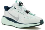 Nike Pegasus EasyOn