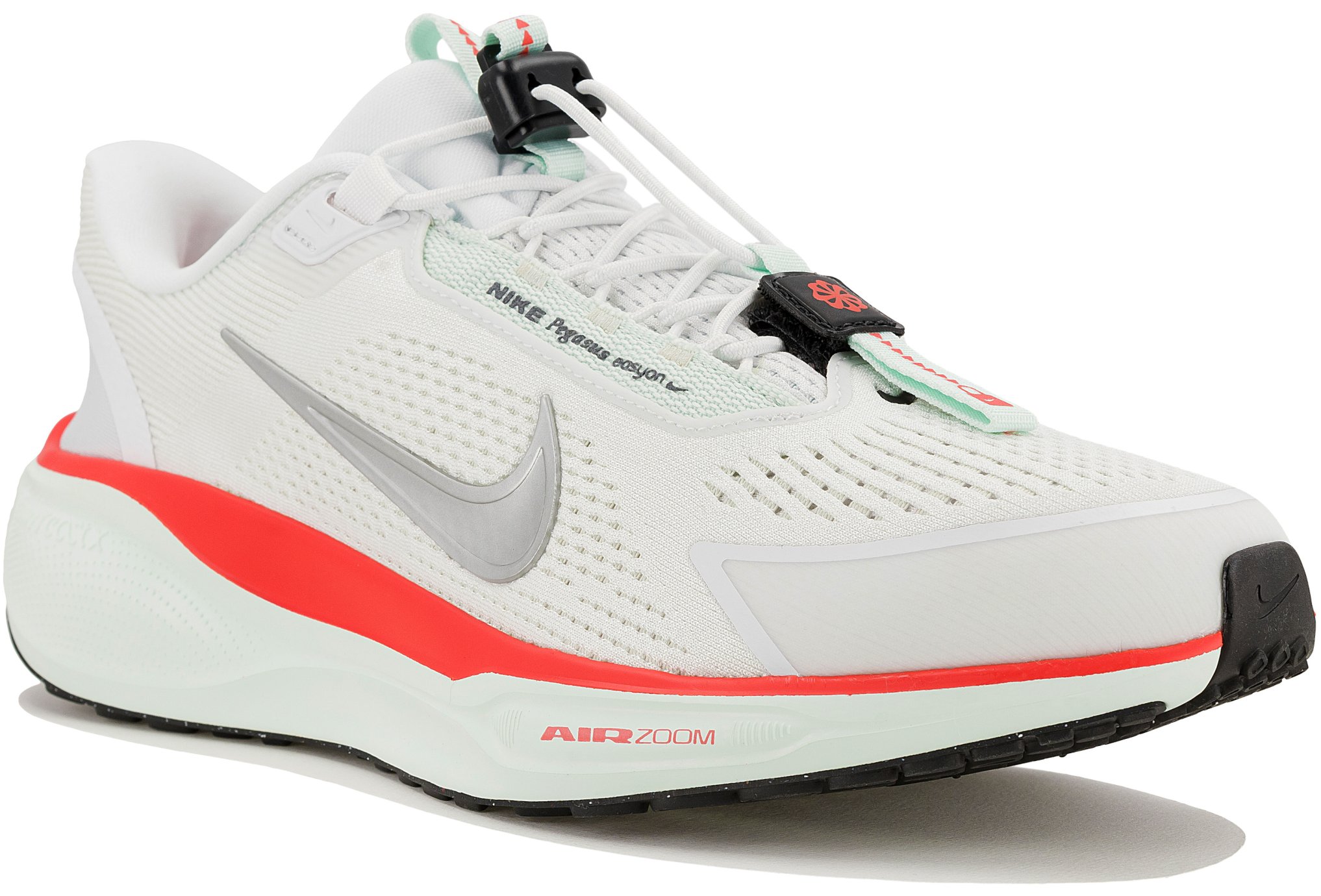 Nike Pegasus EasyOn Chaussures homme - Nike - Chaussures de sport
