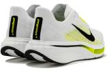 Nike Pegasus Plus 2 heren