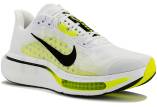 Nike Pegasus Plus 2