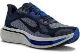 Nike Pegasus Plus 2