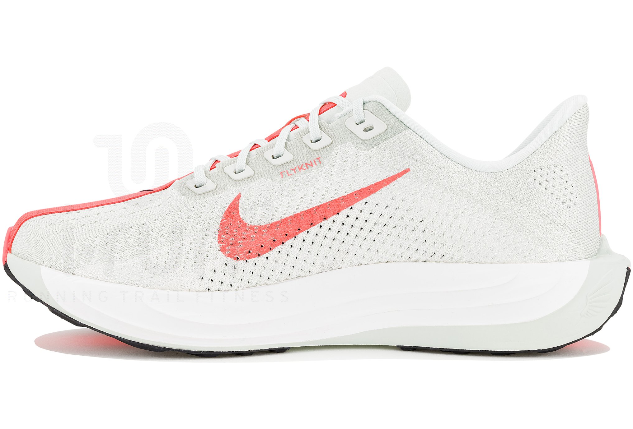 Nike Pegasus Plus Damen