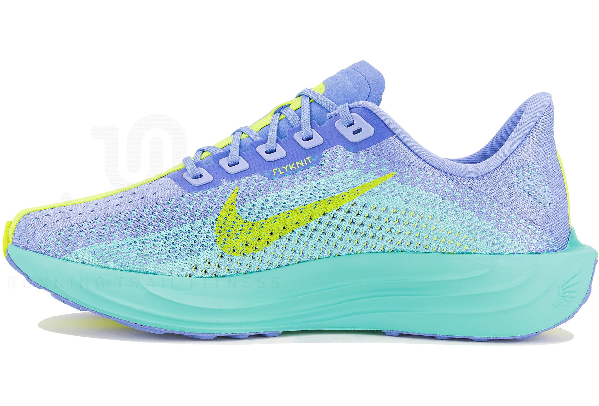 Nike Pegasus Plus