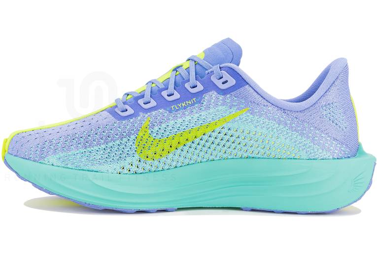 Nike Pegasus Plus