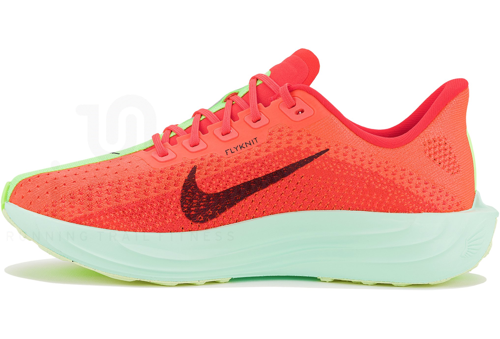 Nike Pegasus Plus W