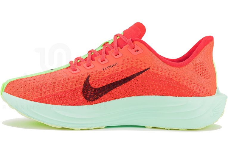 Nike Pegasus Plus W