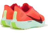 Nike Pegasus Plus W