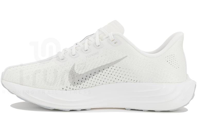 Nike Pegasus Plus 