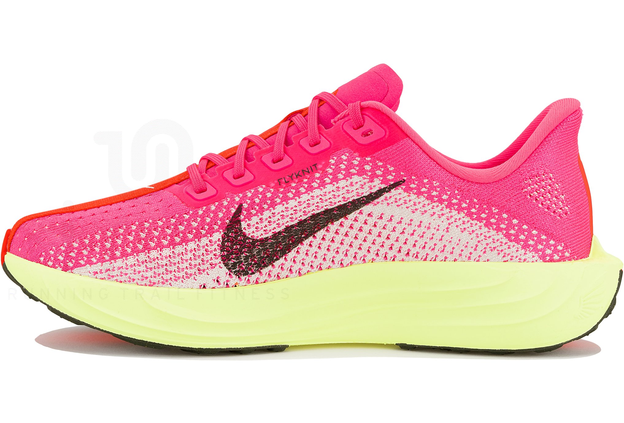 Nike Pegasus Plus W