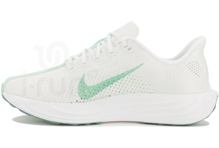 Nike Pegasus Plus 