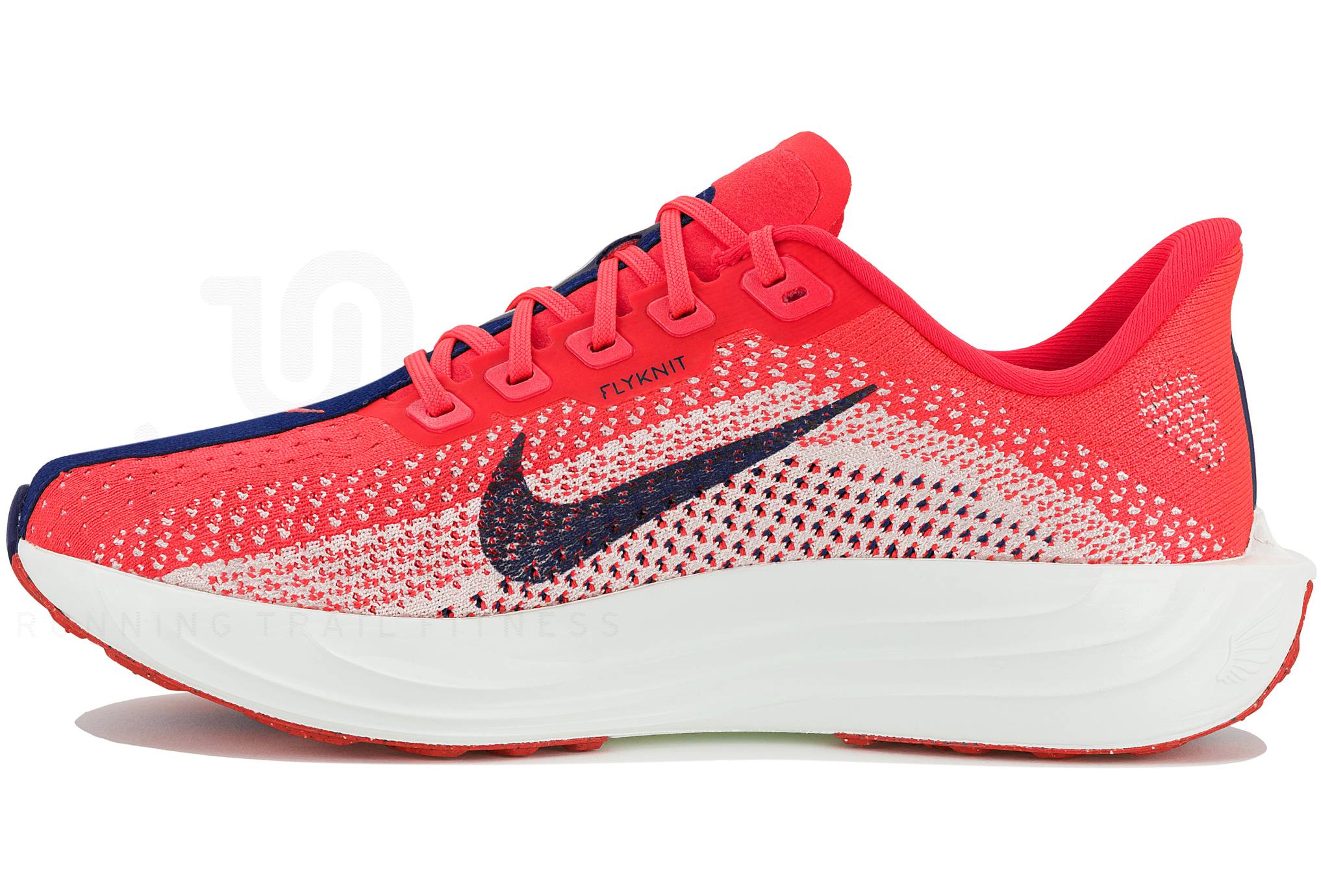 Nike Pegasus Plus