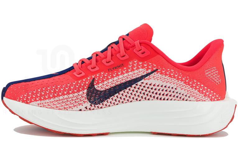 Nike Pegasus Plus