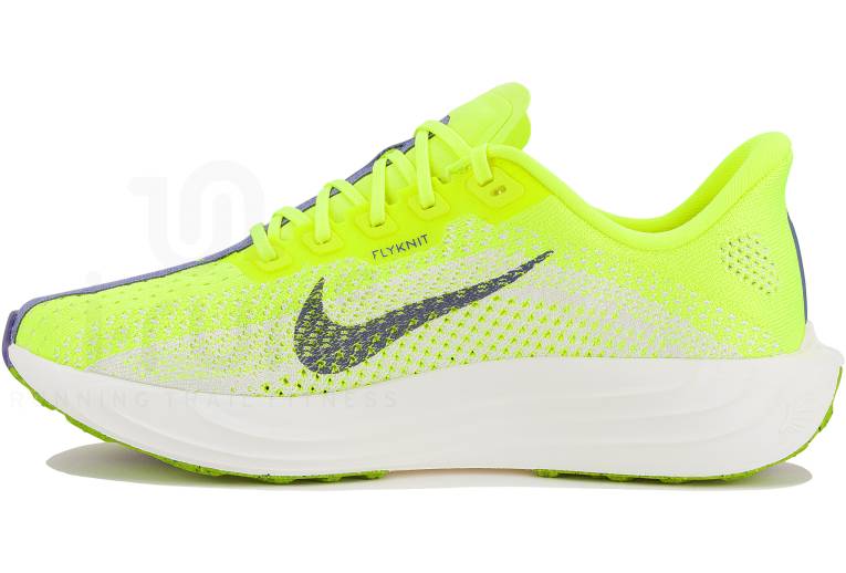 Nike Pegasus Plus 