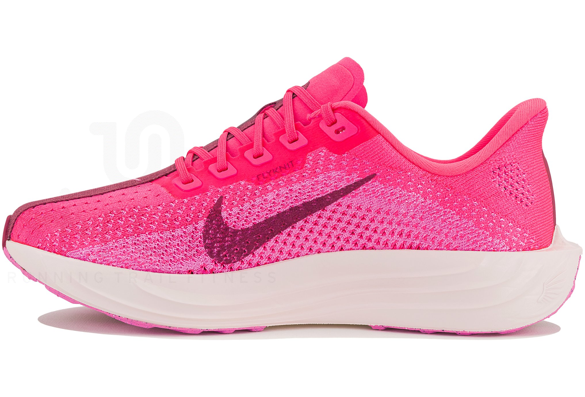 Nike Pegasus Plus