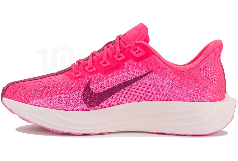 Nike Pegasus Plus