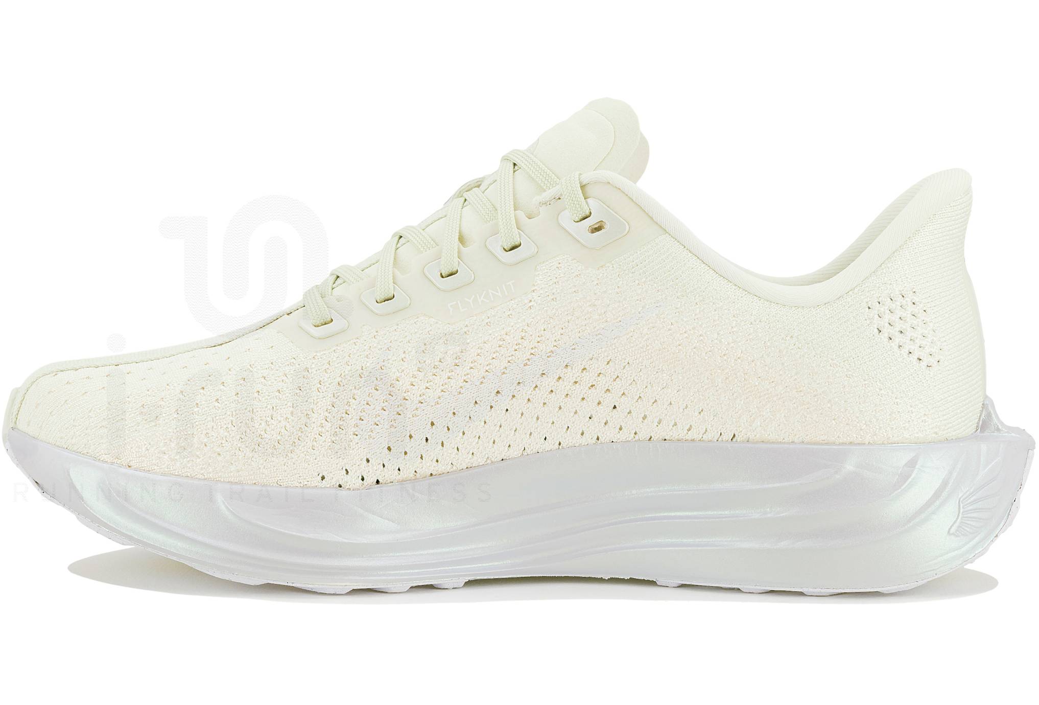 Nike Pegasus Plus Damen ESS