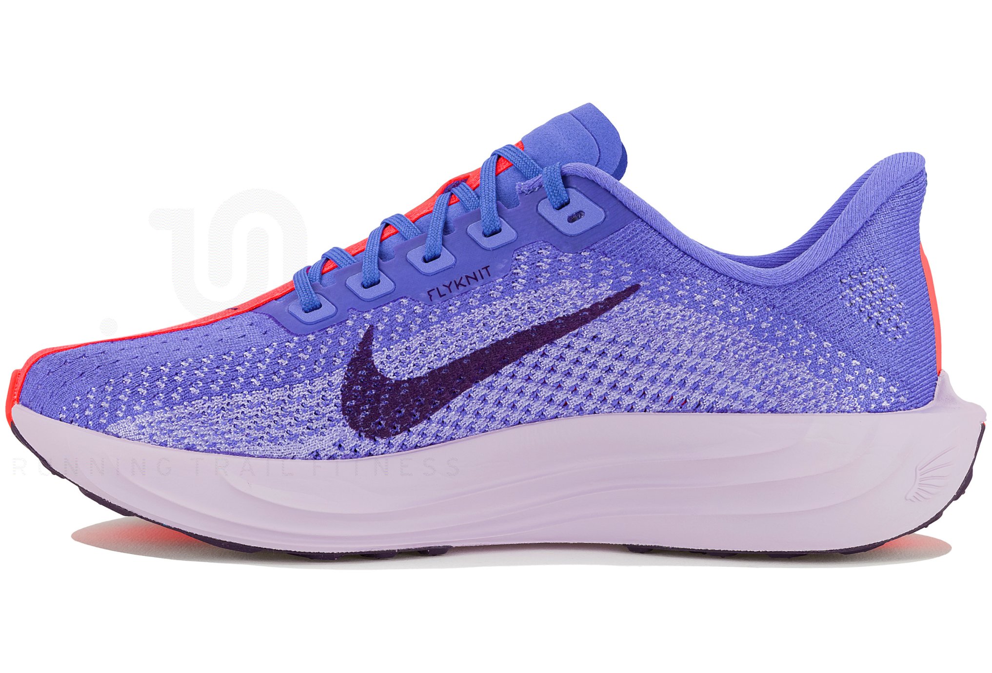 Nike Pegasus Plus