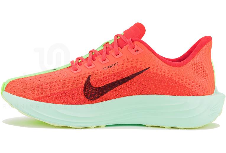 Nike Pegasus Plus Herren