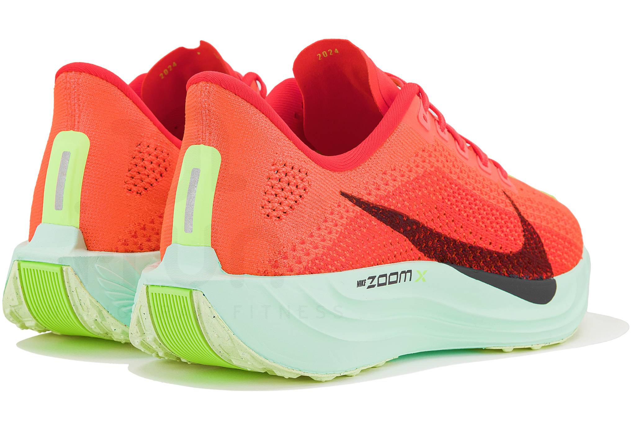 Nike Pegasus Plus Herren