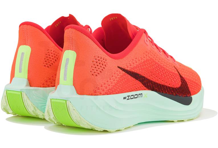 Nike Pegasus Plus Herren
