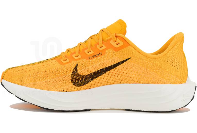 Nike Pegasus Plus LV8