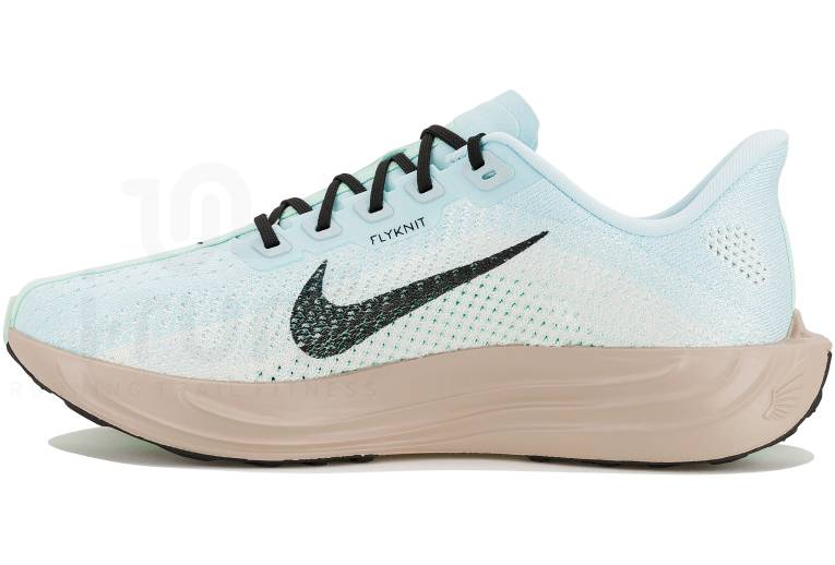 Nike Pegasus Plus 
