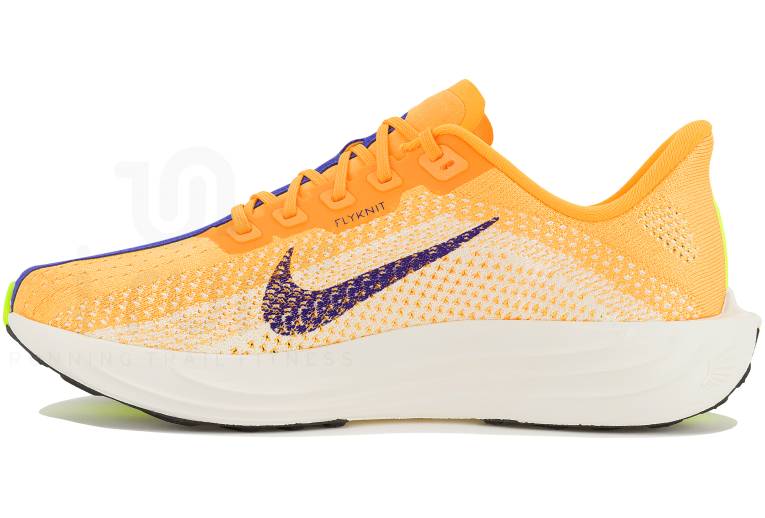 Nike Pegasus Plus 