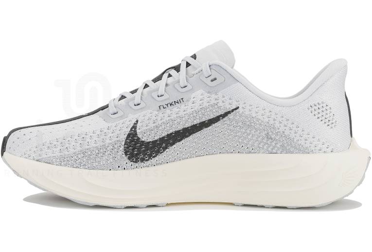 Nike Pegasus Plus 