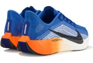 Nike Pegasus Plus
