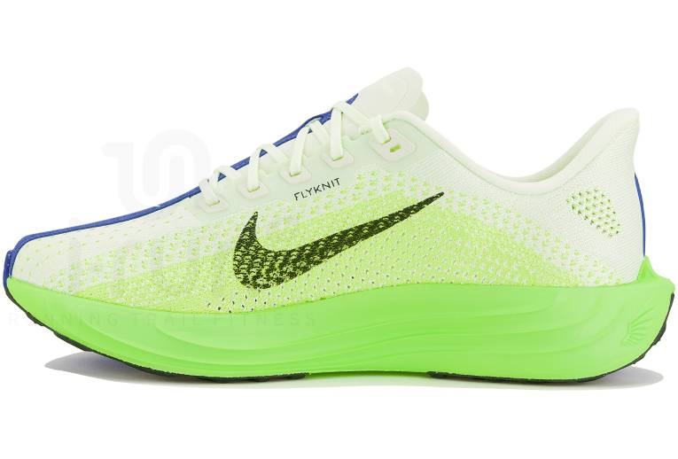 Nike Pegasus Plus 