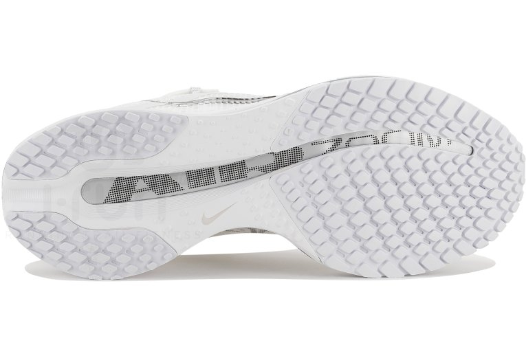Nike Pegasus Premium 