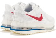 Nike Pegasus Premium