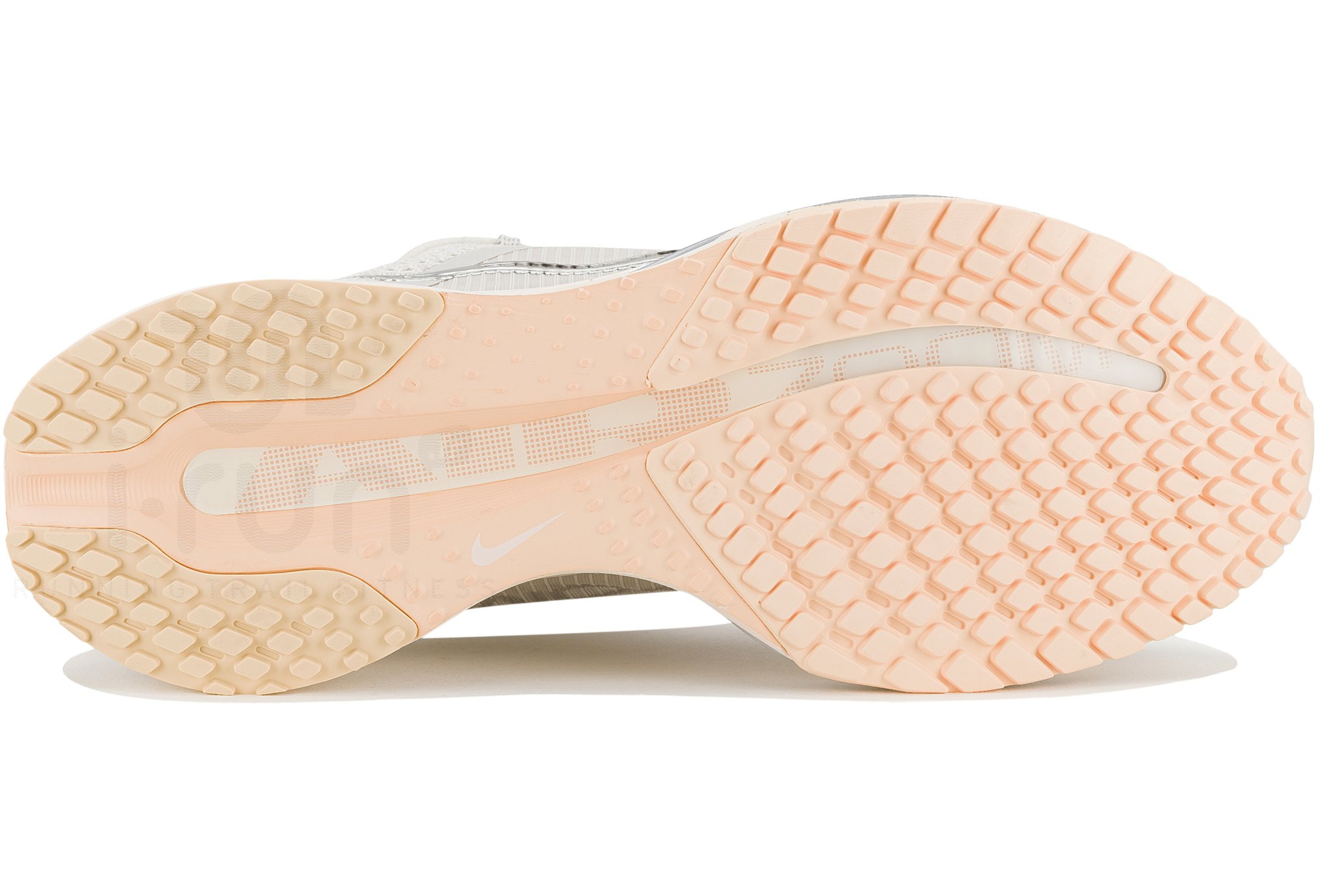 Nike Pegasus Premium