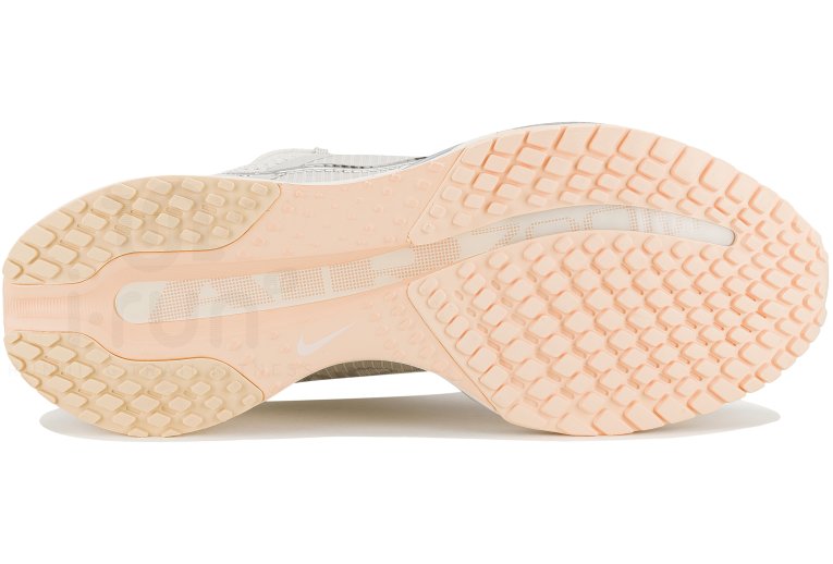 Nike Pegasus Premium